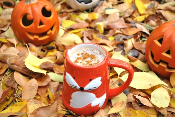 pumpkin spice latte (3).JPG edit