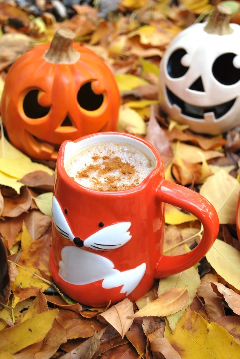 pumpkin spice latte (9).JPG edit